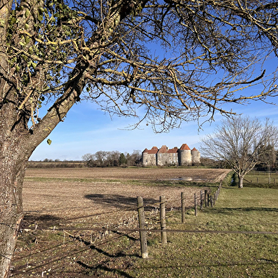 Près du château fort de La Motte-Josserand