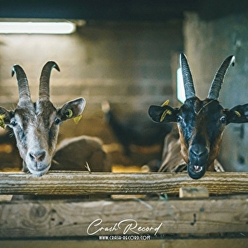 SCEA La Ferme de la Petite Forêt - CUISEAUX