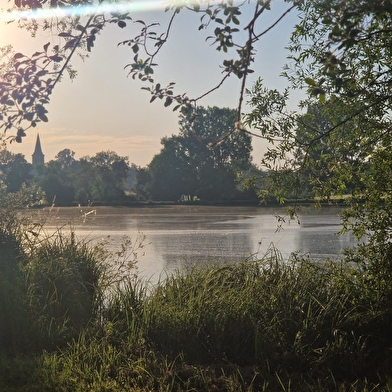 Etang communal Les Prés de la Vavre