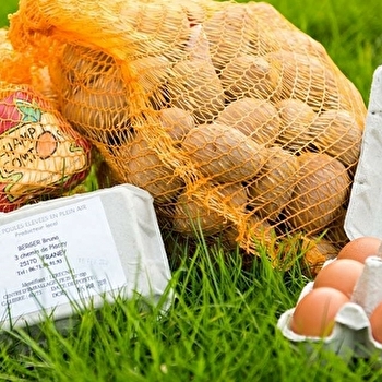 Bruno Berger - FRANEY