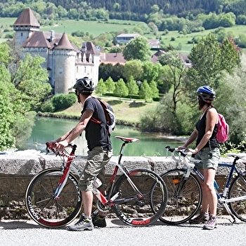 Voie Courbet - L'HOPITAL-DU-GROSBOIS