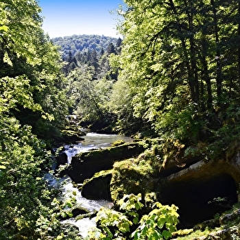 Les Pertes de l'Ain à VTT - 62B - CHAMPAGNOLE