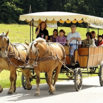 Les Calèches du Saut du Doubs - VILLERS-LE-LAC