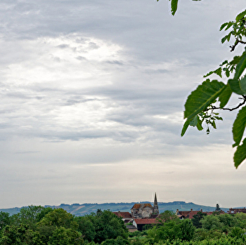 La Cool'angeoise - COULANGES-LA-VINEUSE