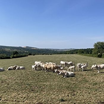 Le chemin des Celtes - CERSOT