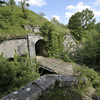 Dame Blanche et Vieux Tilleul - BESANCON