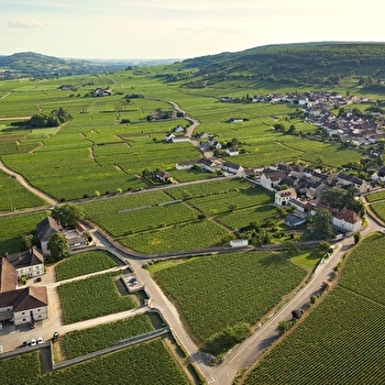 Parcours découverte dans les Climats : Chassagne-Montrachet - CHASSAGNE-MONTRACHET