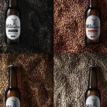 Brasserie des Trois Fontaines - Bière la Mandubienne - Virgile Berthiot - BRETENIERE