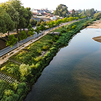Des bords de Loire au sous-bois, à Cosne-Cours-sur-Loire - COSNE-COURS-SUR-LOIRE