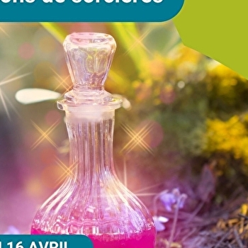 Activité famille 'Potions de sorcières' - COSNE-COURS-SUR-LOIRE