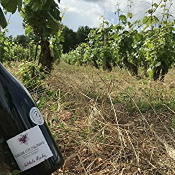 Richez Nathalie - CHAGNY