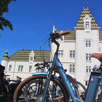 Vélovitamine - livraison vélo /dépôt canal 