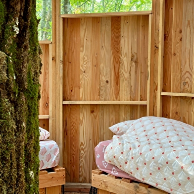 Nids d'Aurore et des PiousPious