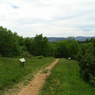 La Lande de Nancelle