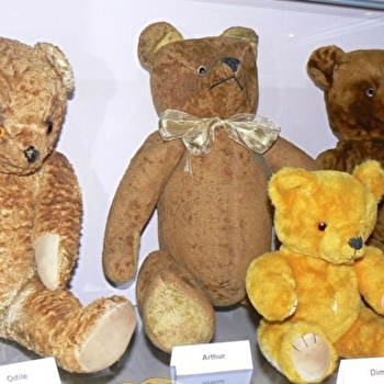 Musée de l'Ours - LOUHANS