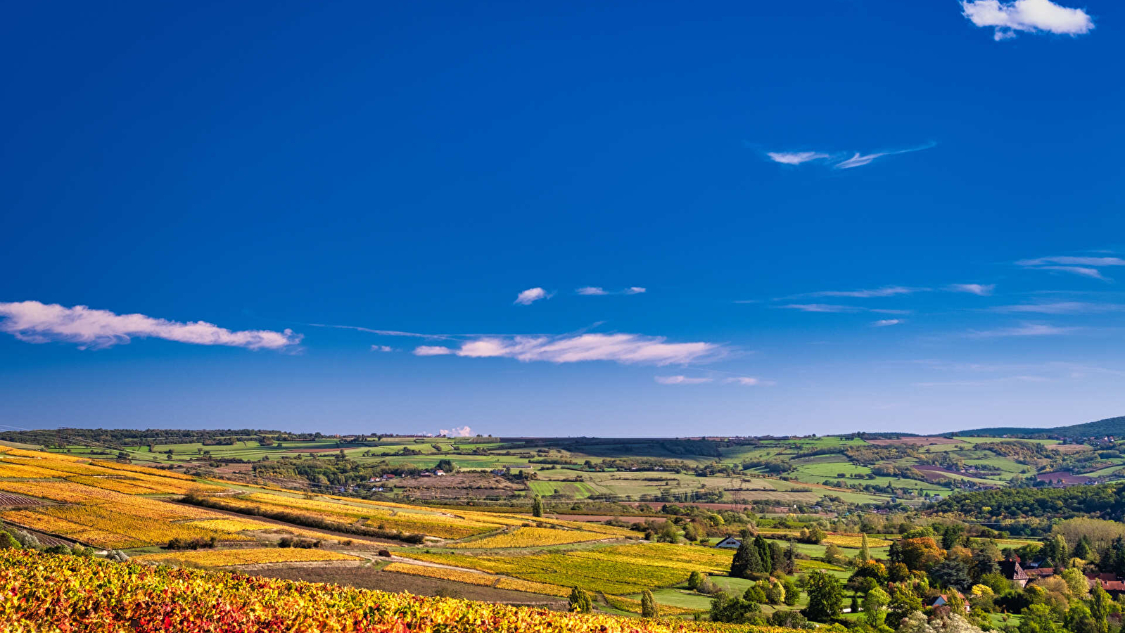 Les Balcons de Dracy