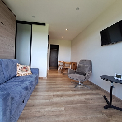 Le Lacuzon - Studio en résidence - R462HEN00