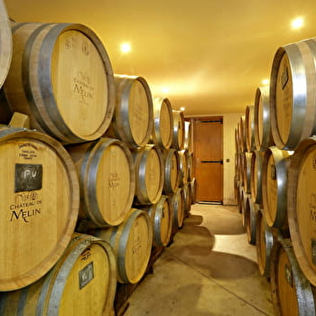 Château de Melin - AUXEY-DURESSES