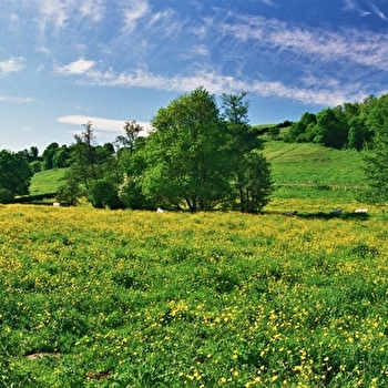 Circuit des deux rivières - CHENAY-LE-CHATEL