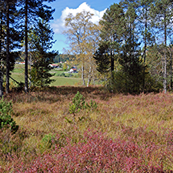 Réserve Naturelle Régionale des tourbières du bief du Nanchez - NANCHEZ
