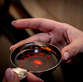 Bourgogne Emotions - SAINT-PHILIBERT