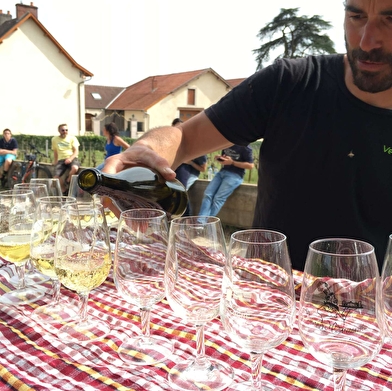 Aux tours des vins de Bourgogne 