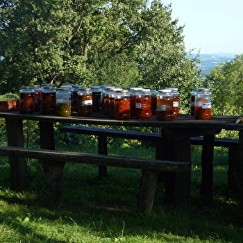 Plaisirs Simples - SAINT-JULIEN-DE-JONZY