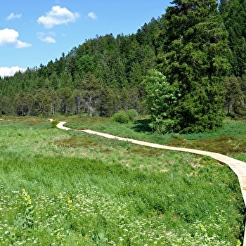 La Trémontagne - 84R - NANCHEZ
