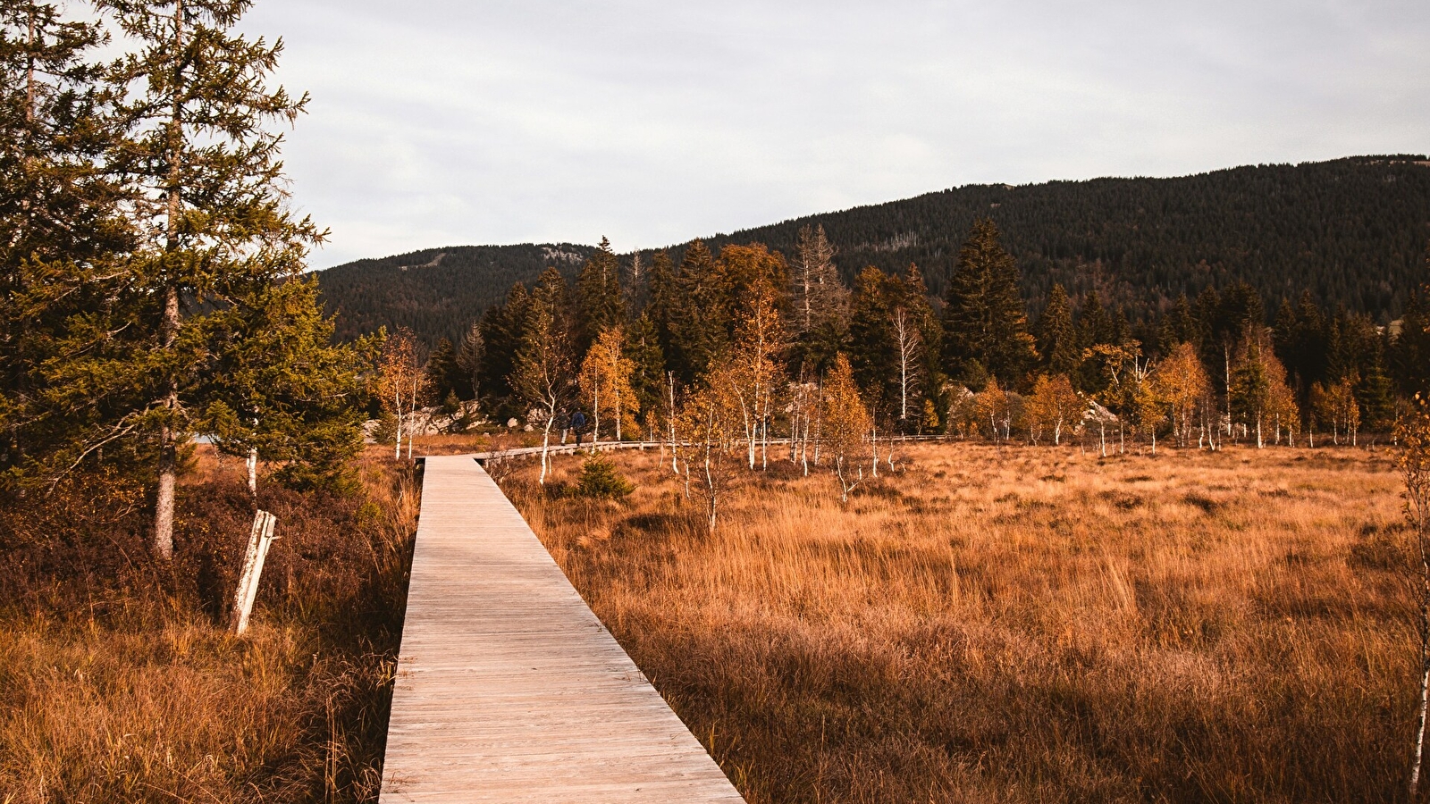 Séjour Rando/bien-être d'automne
