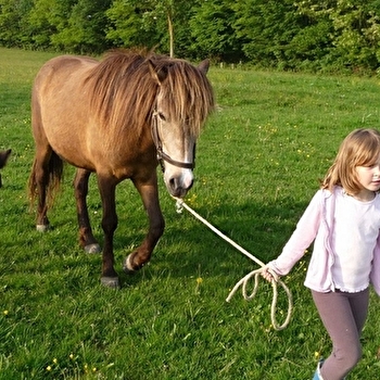 Domaine de la Loge - École d'équitation - FLACEY-EN-BRESSE