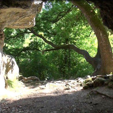 Visite multimédia Sentier découverte des Roches de Basseville