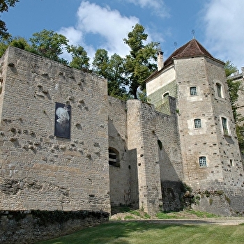 Montbard, sur les pas de Buffon - MONTBARD