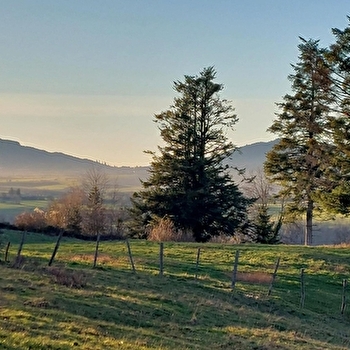 Chauve Roche - MONT-DE-LAVAL