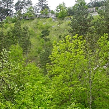 Cirque de la Coquille - ETALANTE