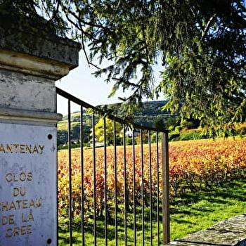 Expérience - Dégustation de La Crée - SANTENAY