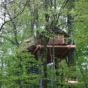 Cabane dans les arbres au lac des Settons - MOUX-EN-MORVAN