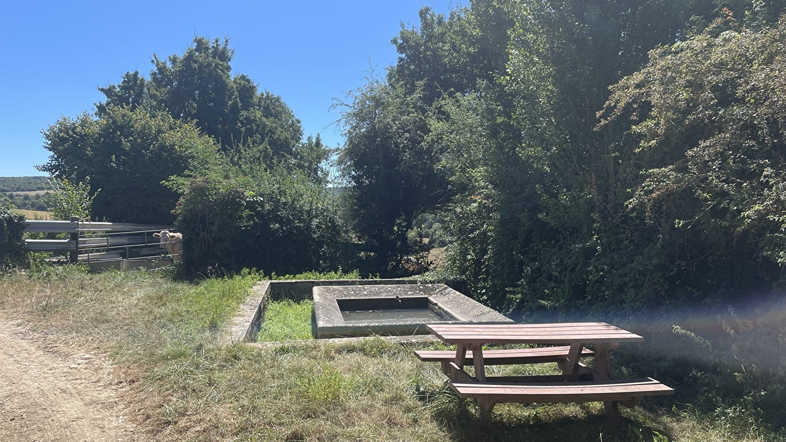 Aire de pique-nique
