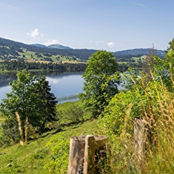 La boucle du Grand Tétras - Boucle vélo 12 - LONGCHAUMOIS