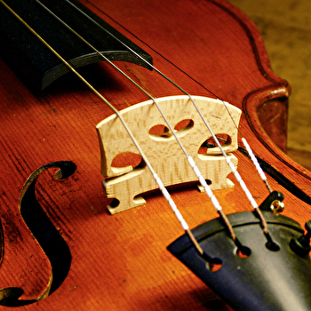 Volutes et Compagnie - EURL Iksis - Julien Fauchier - LA CHAPELLE-SOUS-UCHON