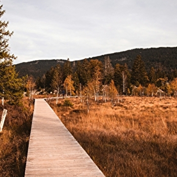 Séjour Rando/bien-être d'automne - 