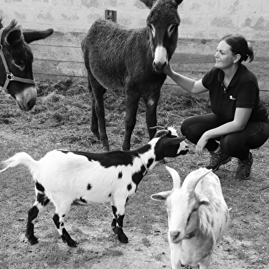 Naturellement visites : Visites du 9équin