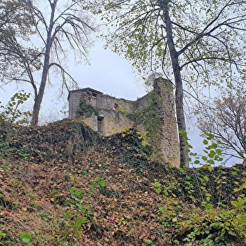 Château de Vautheau - LA GRANDE-VERRIERE