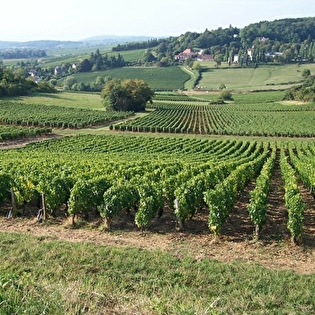 des Moirots - BISSEY-SOUS-CRUCHAUD