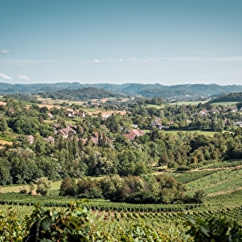Entre Seille et Vignoble - QUINTIGNY