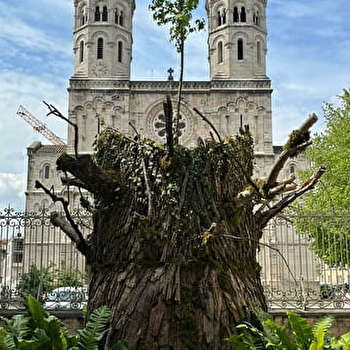Mâconnaissance - MACON