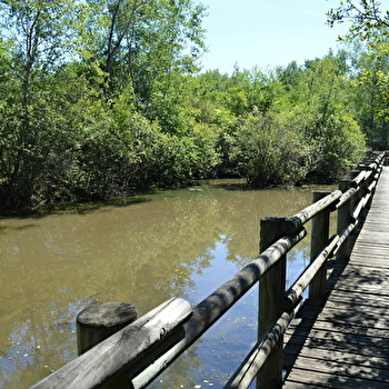 Aire de pique-nique - MELAY
