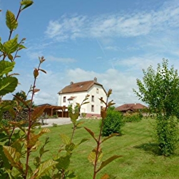 LES CIGALES - VILLAFANS