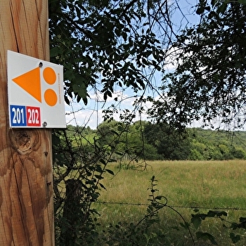 Circuit VTT 201 - Le Saint-Jacques - BRIGNAIS