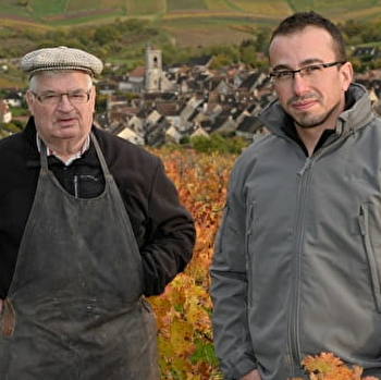 Caves Bienvenu - IRANCY