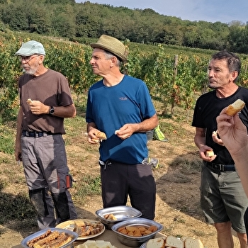 la Cozanne - CORMOT-VAUCHIGNON